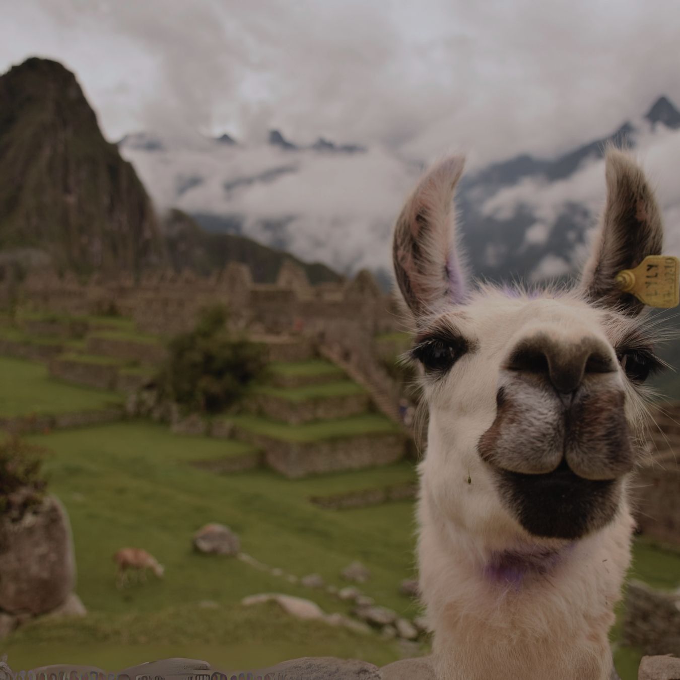 Peru journey in 2 weeks, Le pérou en 16 jours, voyage au Pérou